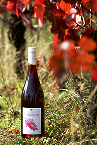 La discorde - Fermenterre - Victor Cossy