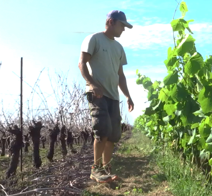 Victor Cossy - Artisan Vigneron