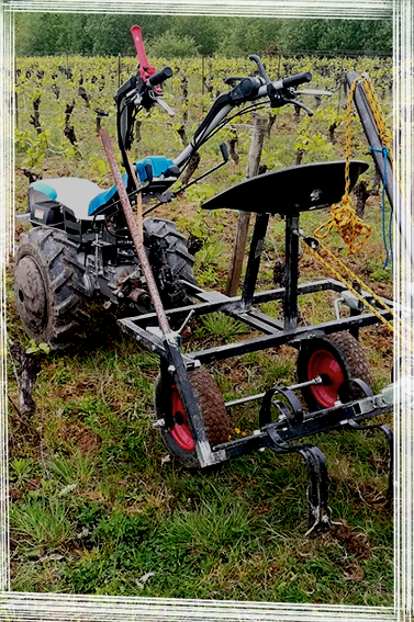 Motoculteur-vigne-fermenterre